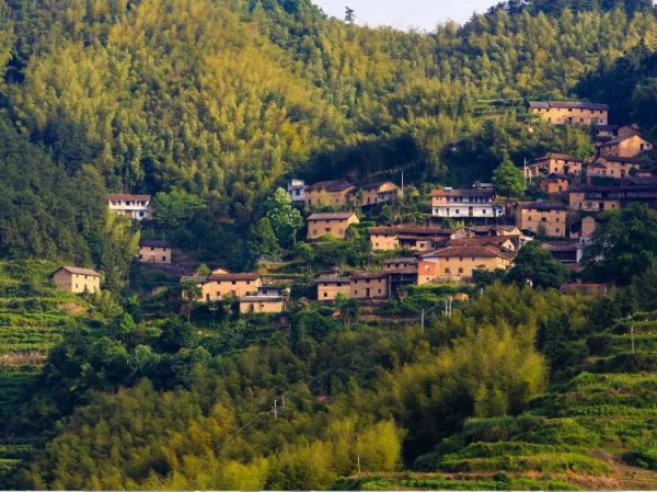 丽水十大旅游景点推荐