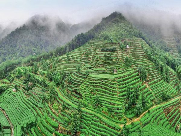 丽水十大旅游景点推荐