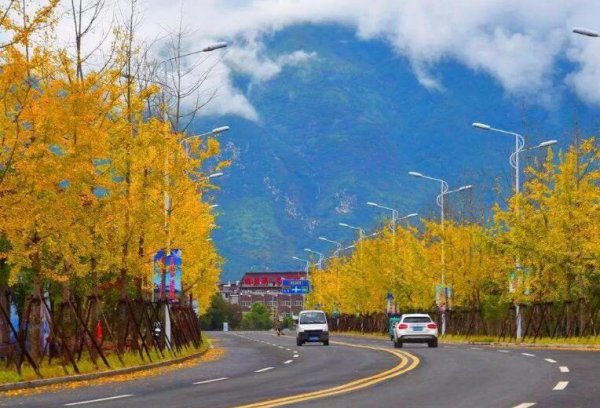 仙居属于浙江哪个地区管辖