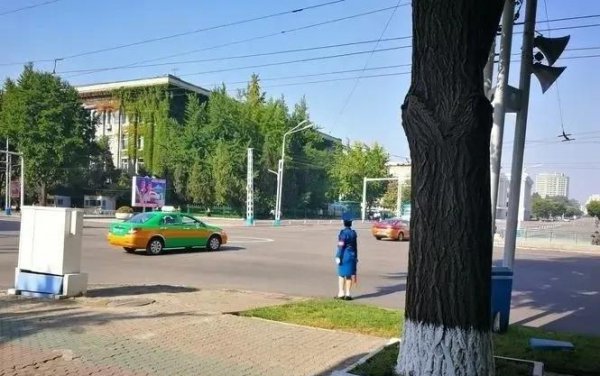 朝鲜一共多少人口数量和面积
