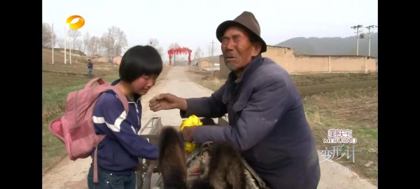 变形计王正晨介绍