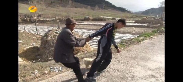 变形计王正晨介绍