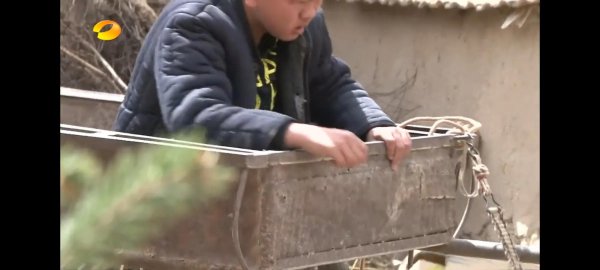 变形计王正晨介绍