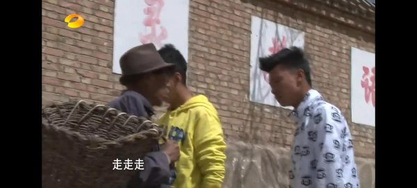 变形计王正晨介绍