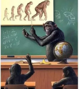 关于人类起源的神话传说的故事 不幸被老子道德经言中了