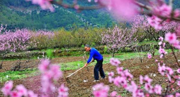 春节的来历和风俗20字