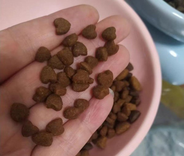 猫粮哪个牌子质量好性价比高