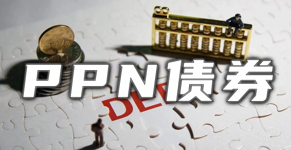 ppn是什么意思