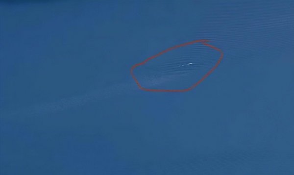 喀纳斯湖水怪真相大白