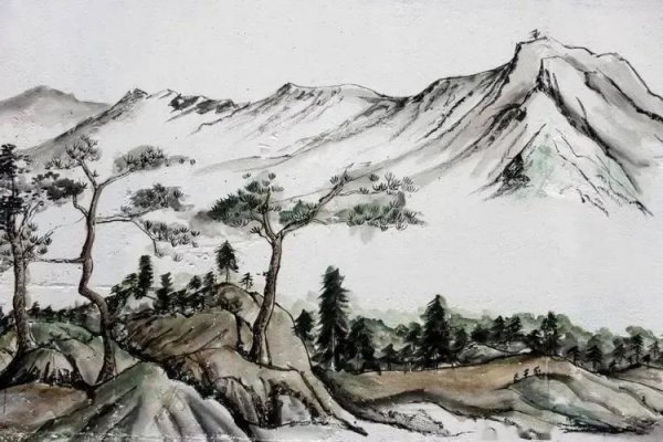 松柏的寓意和象征意义是什么