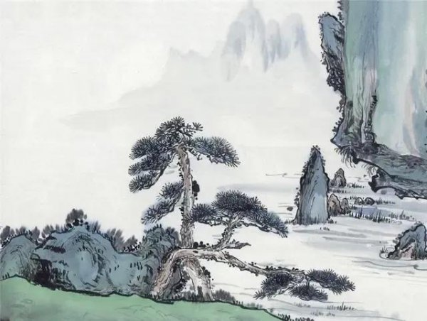 松柏的寓意和象征意义是什么