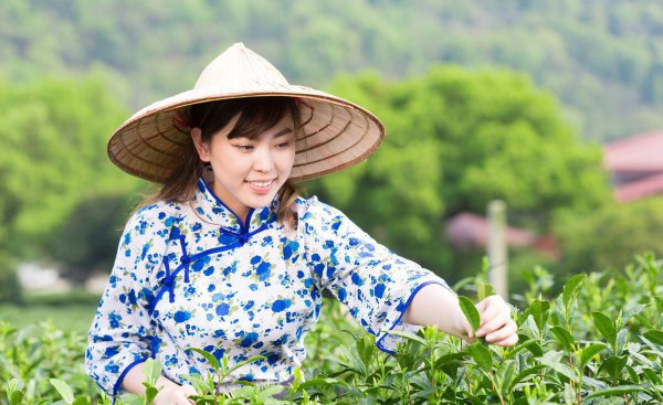 茗茶是什么意思