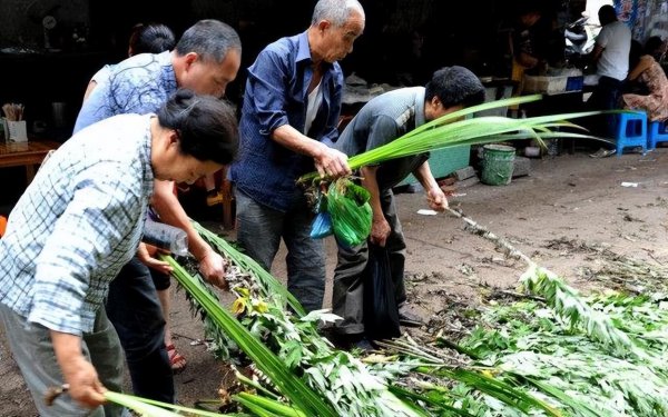 端午节门上挂艾草有什么讲究