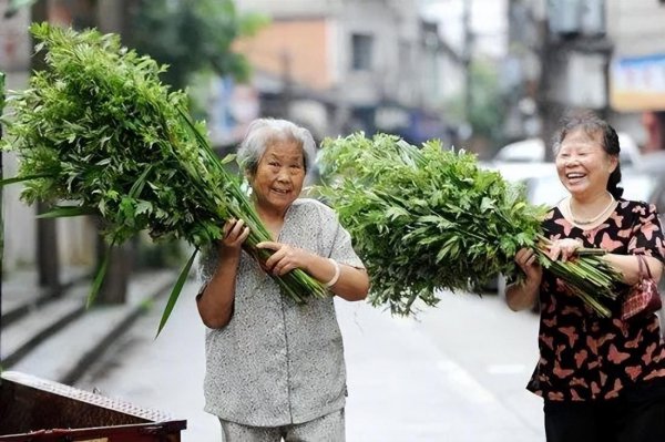 端午节门上挂艾草有什么讲究