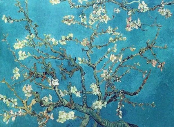 关于杏花的诗句大全