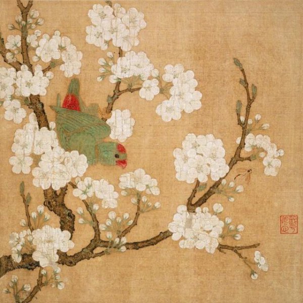 关于杏花的诗句大全