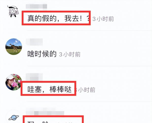 杨紫男朋友是谁
