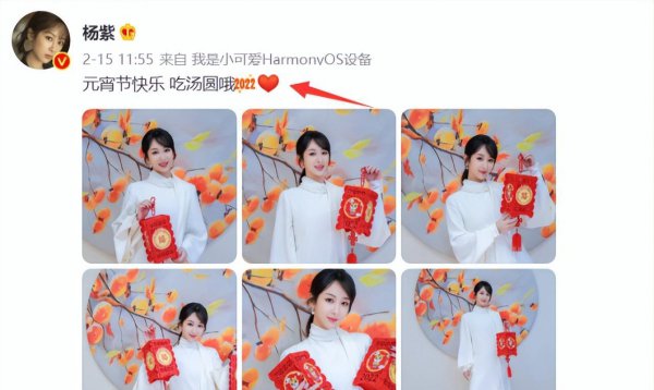 杨紫男朋友是谁