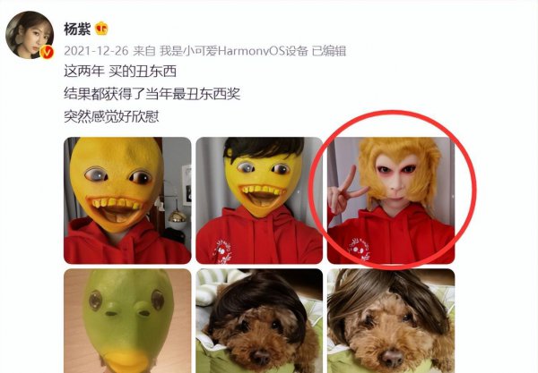 杨紫男朋友是谁