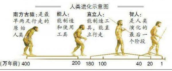 恐龙灭绝的十大原因资料