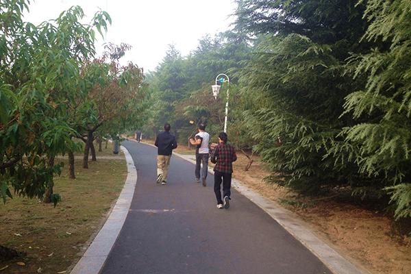 慢跑5公里消耗多少卡路里
