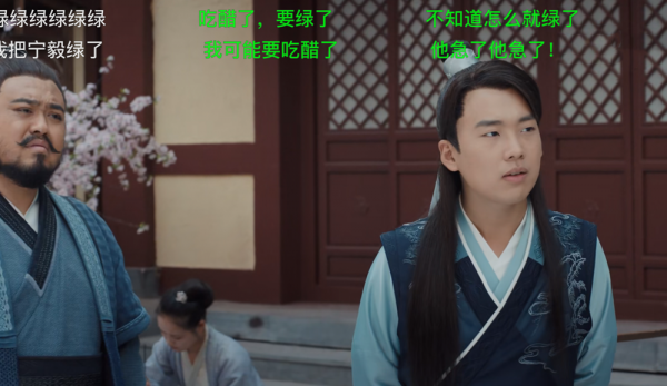 赘婿楼舒婉是穿越的吗