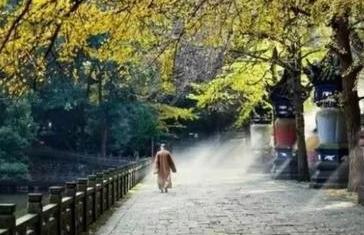 我与春风皆过客完整诗句