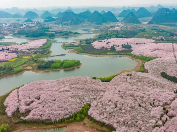 贵州安顺旅游十大景点排名
