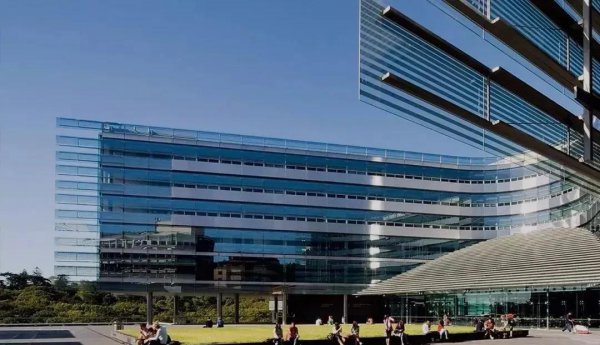 位于新西兰的大学排名