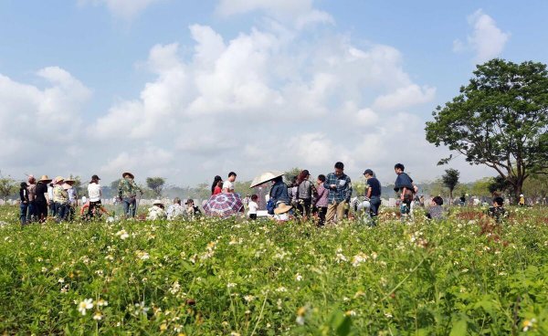 清明节挂青有什么讲究