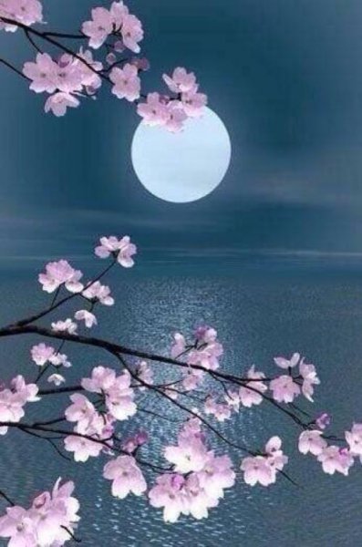 表达离别之情的诗句