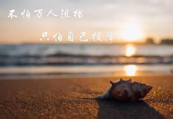 学渣真的能逆袭吗