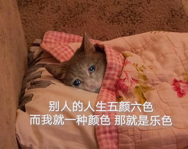 9种原生家庭的伤害表现
