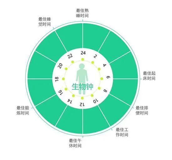 历史上悬梁刺股的人物是谁