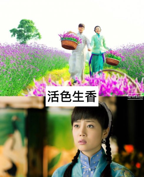 李溪芮主演的电视剧有哪些