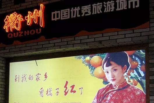 周迅是哪里人