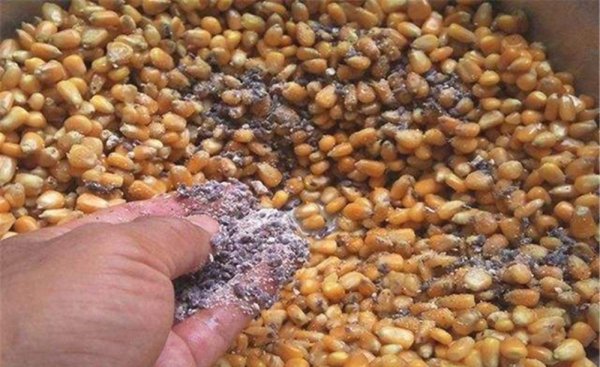 夏天鲤鱼喜欢吃什么味型的饵料