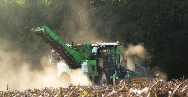 比利时人口有多少