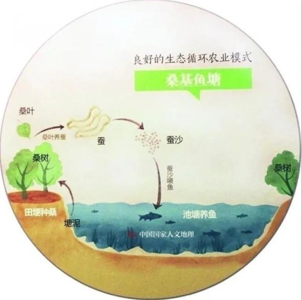 湖州市的湖指的是什么