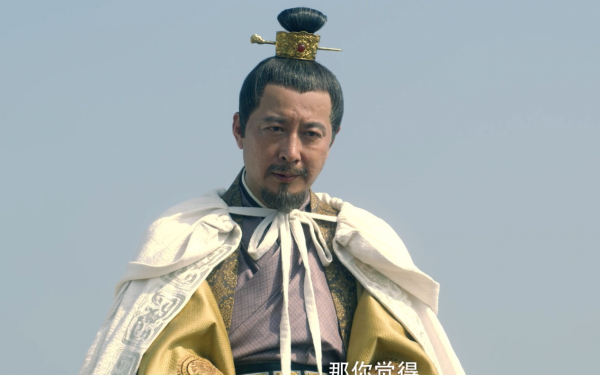 靖安王妃裴南苇什么身份