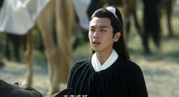 靖安王妃裴南苇什么身份