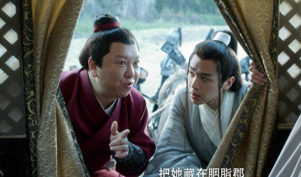 靖安王妃裴南苇什么身份