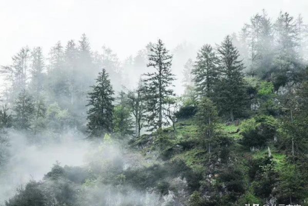 纳兰性德最好的十首诗