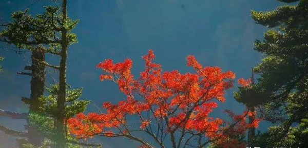 纳兰性德最好的十首诗