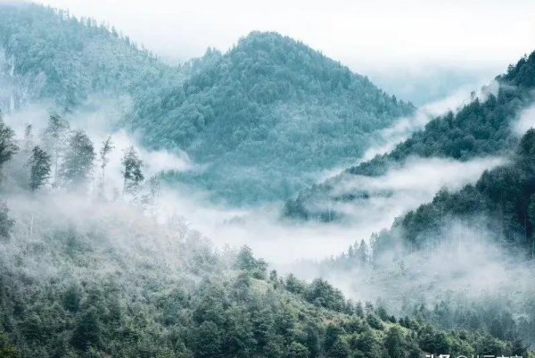 纳兰性德最好的十首诗