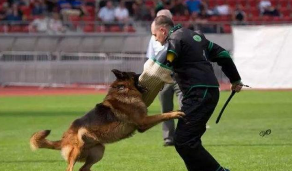 李克男保镖简介