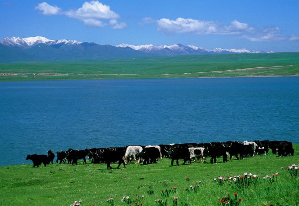 兰州的旅游景点排名