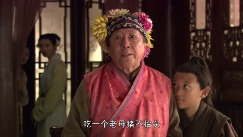 刘姥姥进大观园是第几回