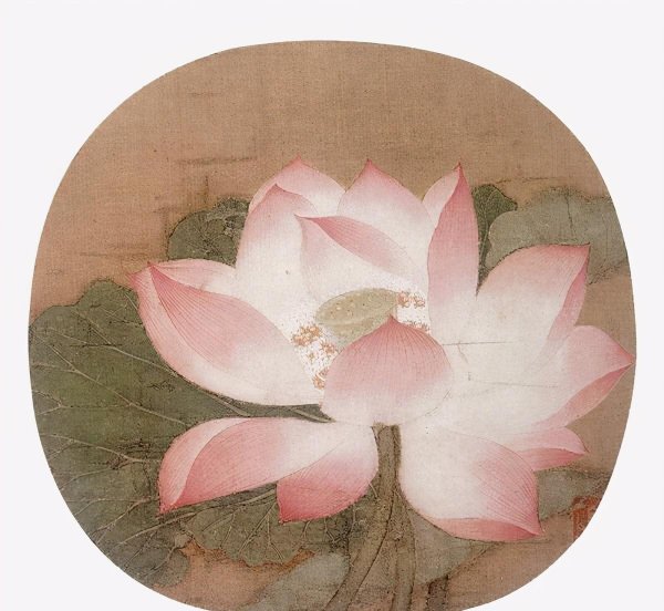 爱莲说注释及翻译