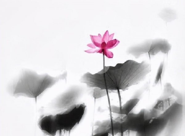 爱莲说注释及翻译